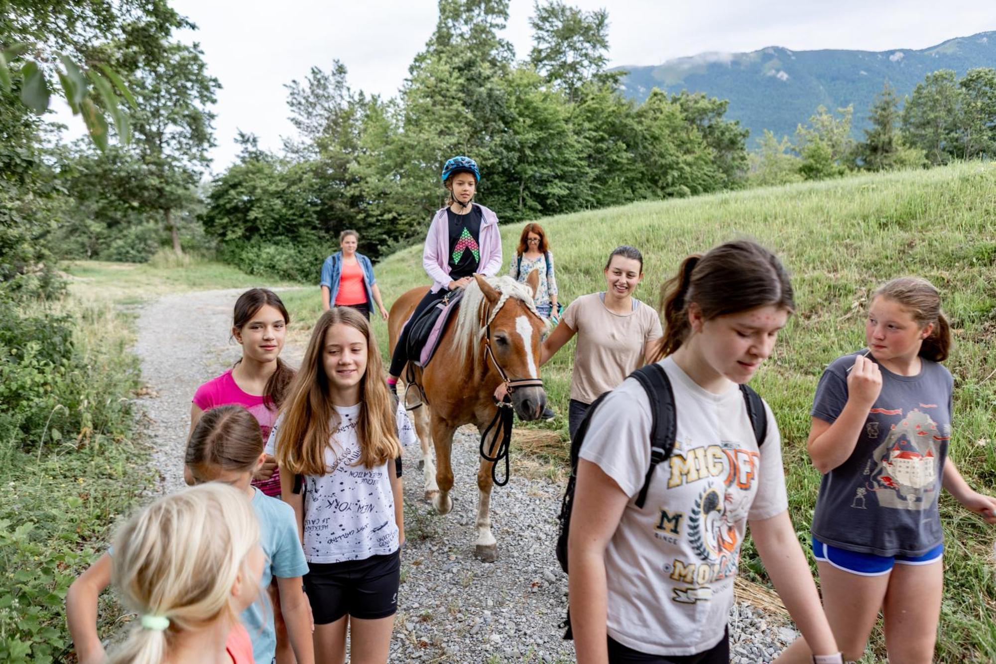 Farm stay Smrekarjeva Domacija *