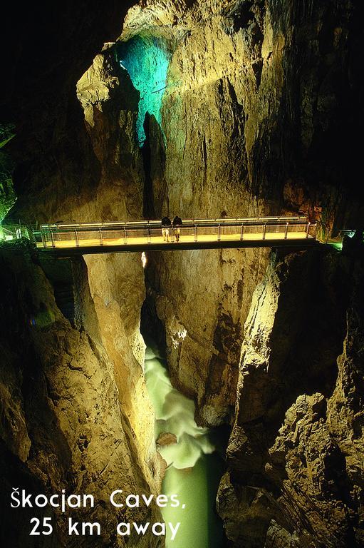 Smrekarjeva Domacija * Postojna