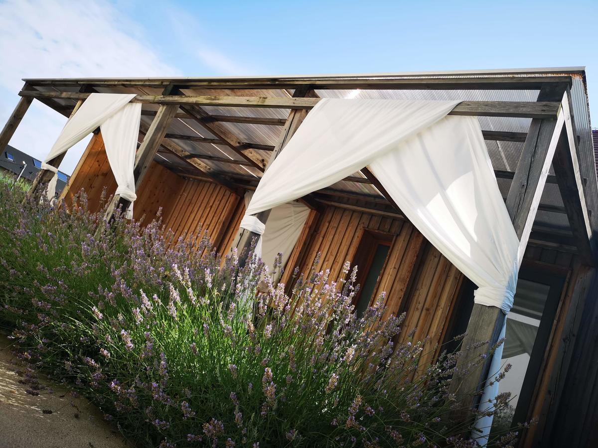 Farm stay Smrekarjeva Domacija *